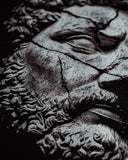 MARCUS AURELIUS PUMPCOVER